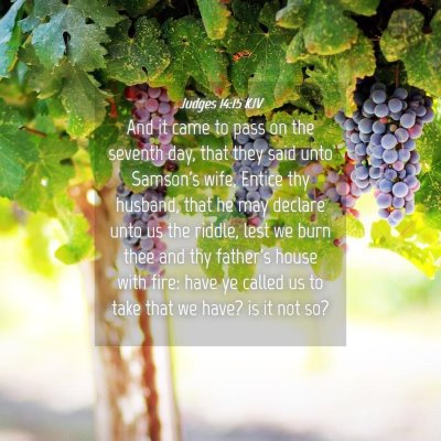 Picture 04 - Judges 14:15 KJV - And it came to pass on the seventh day, that they - Bible Verse Picture