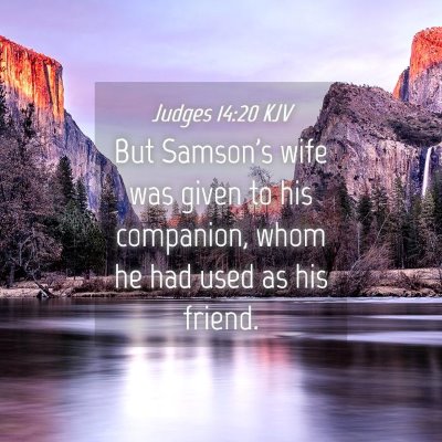 Picture 04 - Judges 14:20 KJV - But Samson's wife was given to his companion, - Bible Verse Picture