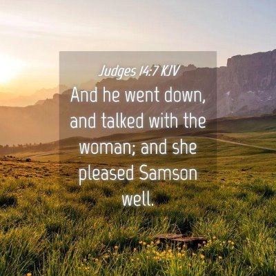 Picture 04 - Judges 14:7 KJV - And he went down, and talked with the woman; and - Bible Verse Picture