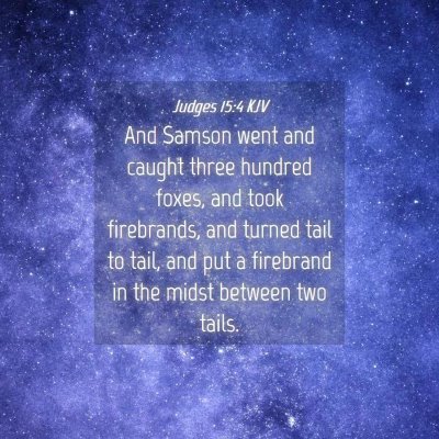 Picture 04 - Judges 15:4 KJV - And Samson went and caught three hundred foxes, - Bible Verse Picture