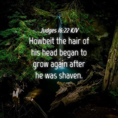 Picture 04 - Judges 16:22 KJV - Howbeit the hair of his head began to grow again - Bible Verse Picture
