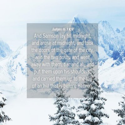 Picture 04 - Judges 16:3 KJV - And Samson lay till midnight, and arose at - Bible Verse Picture
