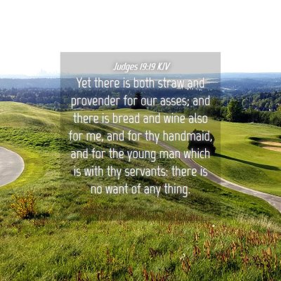 Picture 04 - Judges 19:19 KJV - Yet there is both straw and provender for our - Bible Verse Picture