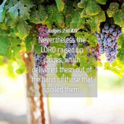 Picture 04 - Judges 2:16 KJV - Nevertheless the LORD raised up judges, which - Bible Verse Picture