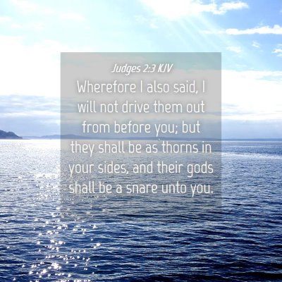 Picture 04 - Judges 2:3 KJV - Wherefore I also said, I will not drive them out - Bible Verse Picture