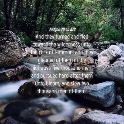 Picture 04 - Judges 20:45 KJV - And they turned and fled toward the wilderness - Bible Verse Picture