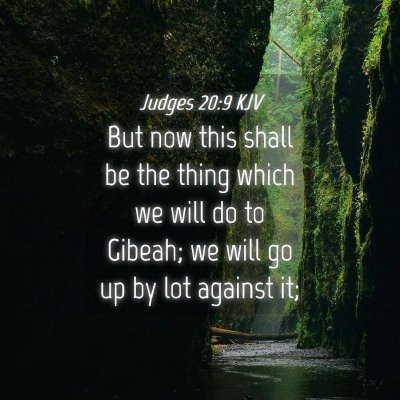 Picture 04 - Judges 20:9 KJV - But now this shall be the thing which we will do - Bible Verse Picture