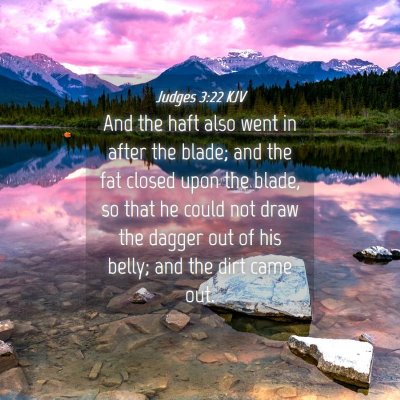 Picture 04 - Judges 3:22 KJV - And the haft also went in after the blade; and - Bible Verse Picture