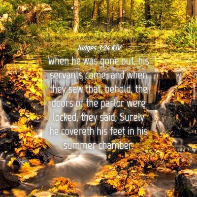 Picture 04 - Judges 3:24 KJV - When he was gone out, his servants came; and when - Bible Verse Picture