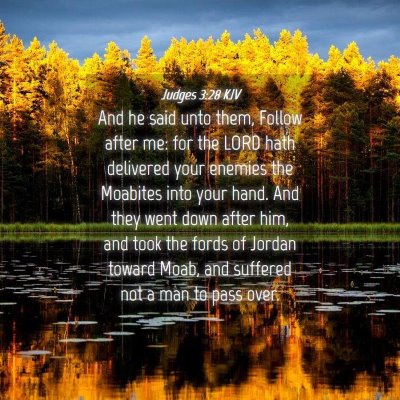 Picture 04 - Judges 3:28 KJV - And he said unto them, Follow after me: for the - Bible Verse Picture