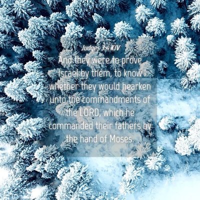 Picture 04 - Judges 3:4 KJV - And they were to prove Israel by them, to know - Bible Verse Picture