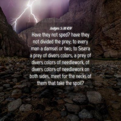 Picture 04 - Judges 5:30 KJV - Have they not sped? have they not divided the - Bible Verse Picture
