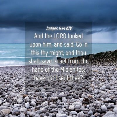 Picture 04 - Judges 6:14 KJV - And the LORD looked upon him, and said, Go in - Bible Verse Picture