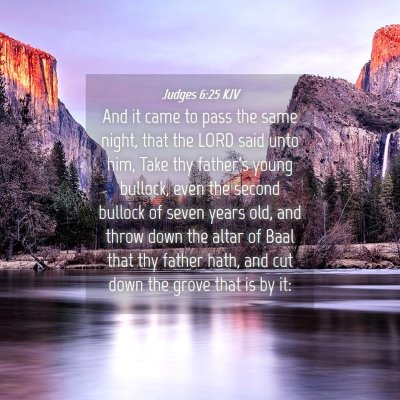 Picture 04 - Judges 6:25 KJV - And it came to pass the same night, that the LORD - Bible Verse Picture