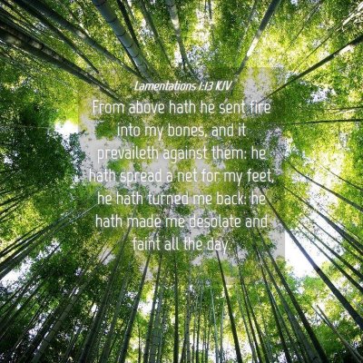 Picture 04 - Lamentations 1:13 KJV - From above hath he sent fire into my bones, and - Bible Verse Picture