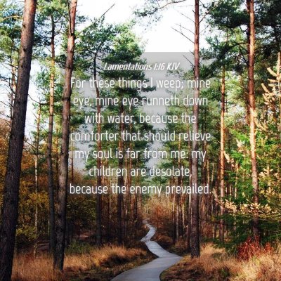 Picture 04 - Lamentations 1:16 KJV - For these things I weep; mine eye, mine eye - Bible Verse Picture