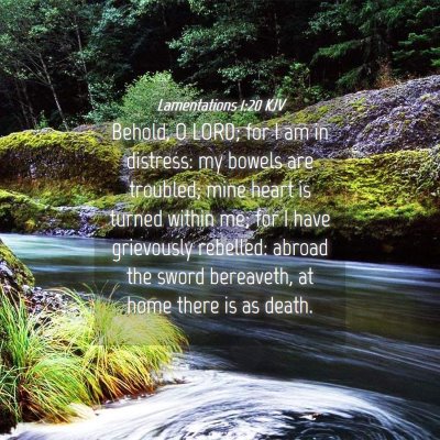 Picture 04 - Lamentations 1:20 KJV - Behold, O LORD; for I am in distress: my bowels - Bible Verse Picture