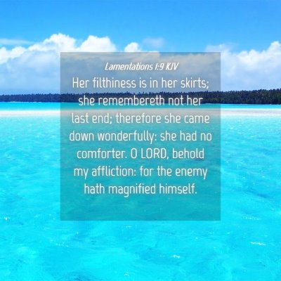 Picture 04 - Lamentations 1:9 KJV - Her filthiness is in her skirts; she remembereth - Bible Verse Picture