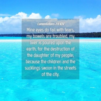 Picture 04 - Lamentations 2:11 KJV - Mine eyes do fail with tears, my bowels are - Bible Verse Picture