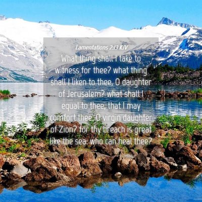 Picture 04 - Lamentations 2:13 KJV - What thing shall I take to witness for thee? what - Bible Verse Picture