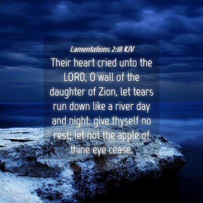 Picture 04 - Lamentations 2:18 KJV - Their heart cried unto the LORD, O wall of the - Bible Verse Picture