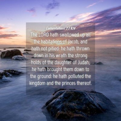 Picture 04 - Lamentations 2:2 KJV - The LORD hath swallowed up all the habitations of - Bible Verse Picture