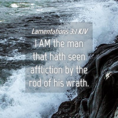 Picture 04 - Lamentations 3:1 KJV - I AM the man that hath seen affliction by the rod - Bible Verse Picture