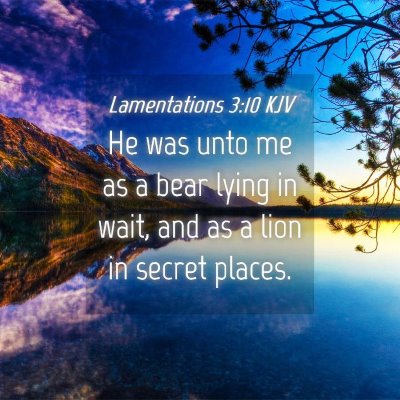 Picture 04 - Lamentations 3:10 KJV - He was unto me as a bear lying in wait, and as a - Bible Verse Picture