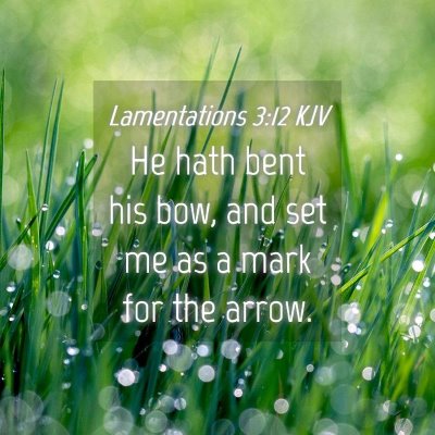 Picture 04 - Lamentations 3:12 KJV - He hath bent his bow, and set me as a mark for - Bible Verse Picture