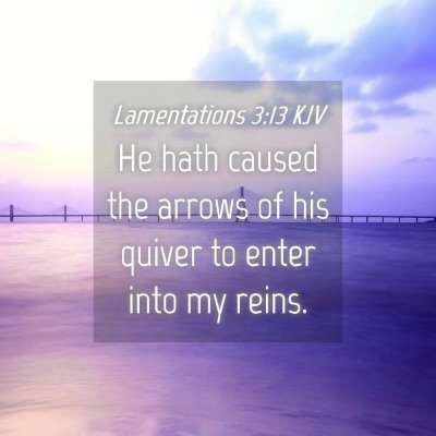Picture 04 - Lamentations 3:13 KJV - He hath caused the arrows of his quiver to enter - Bible Verse Picture