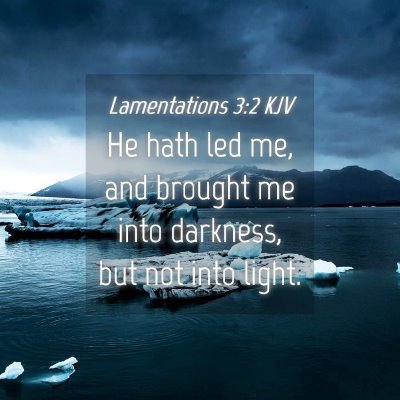 Picture 04 - Lamentations 3:2 KJV - He hath led me, and brought me into darkness, but - Bible Verse Picture