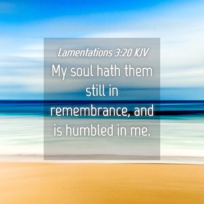 Picture 04 - Lamentations 3:20 KJV - My soul hath them still in remembrance, and is - Bible Verse Picture