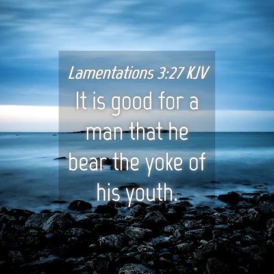 Picture 04 - Lamentations 3:27 KJV - It is good for a man that he bear the yoke of his - Bible Verse Picture