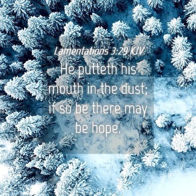 Picture 04 - Lamentations 3:29 KJV - He putteth his mouth in the dust; if so be there - Bible Verse Picture