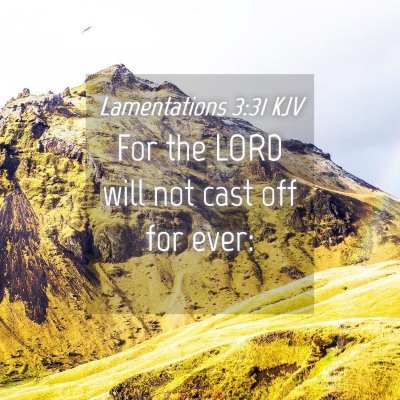 Picture 04 - Lamentations 3:31 KJV - For the LORD will not cast off for - Bible Verse Picture