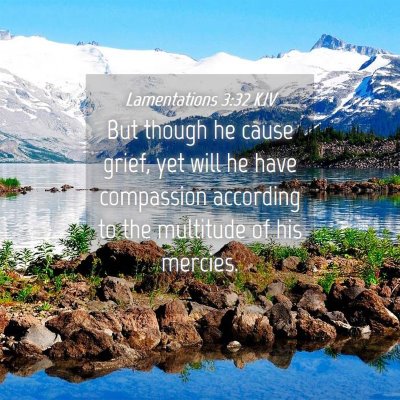 Picture 04 - Lamentations 3:32 KJV - But though he cause grief, yet will he have - Bible Verse Picture