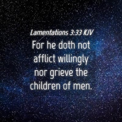 Picture 04 - Lamentations 3:33 KJV - For he doth not afflict willingly nor grieve the - Bible Verse Picture