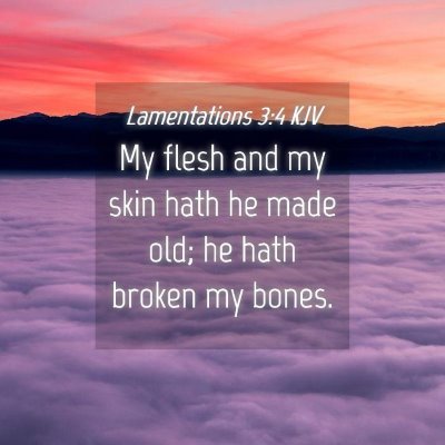 Picture 04 - Lamentations 3:4 KJV - My flesh and my skin hath he made old; he hath - Bible Verse Picture
