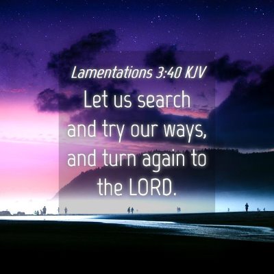 Picture 04 - Lamentations 3:40 KJV - Let us search and try our ways, and turn again to - Bible Verse Picture