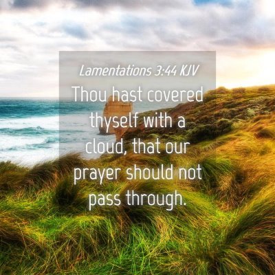 Picture 04 - Lamentations 3:44 KJV - Thou hast covered thyself with a cloud, that our - Bible Verse Picture