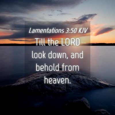Picture 04 - Lamentations 3:50 KJV - Till the LORD look down, and behold from - Bible Verse Picture