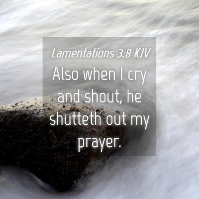 Picture 04 - Lamentations 3:8 KJV - Also when I cry and shout, he shutteth out my - Bible Verse Picture