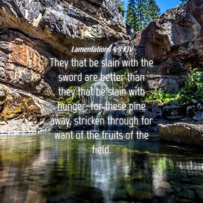 Picture 04 - Lamentations 4:9 KJV - They that be slain with the sword are better than - Bible Verse Picture