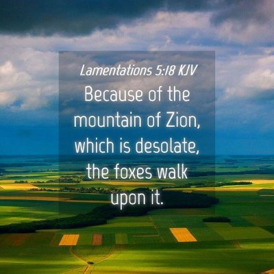 Picture 04 - Lamentations 5:18 KJV - Because of the mountain of Zion, which is - Bible Verse Picture