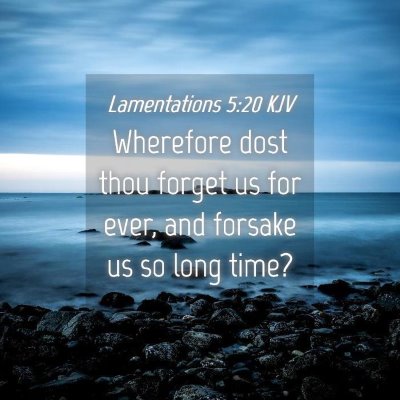 Picture 04 - Lamentations 5:20 KJV - Wherefore dost thou forget us for ever, and - Bible Verse Picture