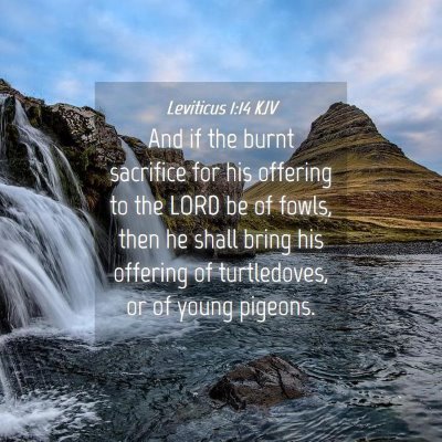 Picture 04 - Leviticus 1:14 KJV - And if the burnt sacrifice for his offering to - Bible Verse Picture