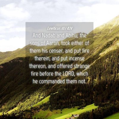 Picture 04 - Leviticus 10:1 KJV - And Nadab and Abihu, the sons of Aaron, took - Bible Verse Picture