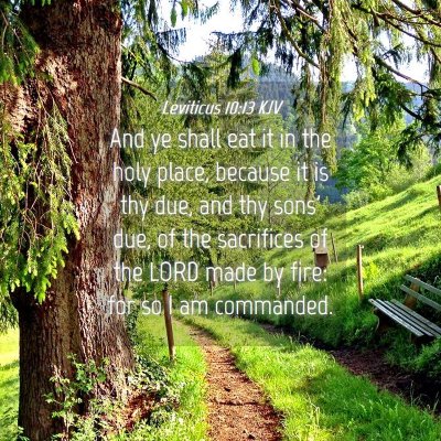 Picture 04 - Leviticus 10:13 KJV - And ye shall eat it in the holy place, because it - Bible Verse Picture