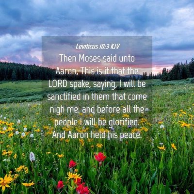 Picture 04 - Leviticus 10:3 KJV - Then Moses said unto Aaron, This is it that the - Bible Verse Picture