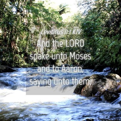 Picture 04 - Leviticus 11:1 KJV - And the LORD spake unto Moses and to Aaron, - Bible Verse Picture